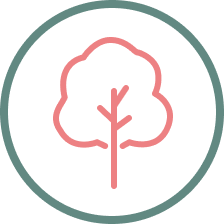 PLANT A TREE WITH EACH PURCHASE